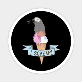 Congo African Grey Ice Cream Parrot Magnet